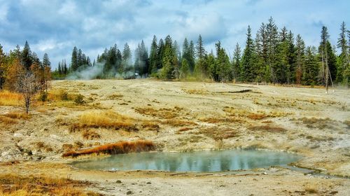 Scenic view of landscape