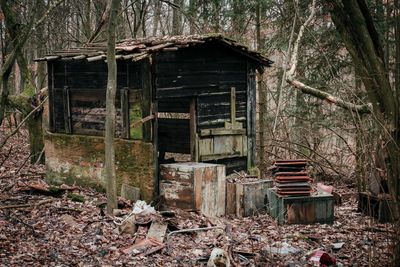 Abandoned house in forest