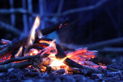 Close-up of bonfire