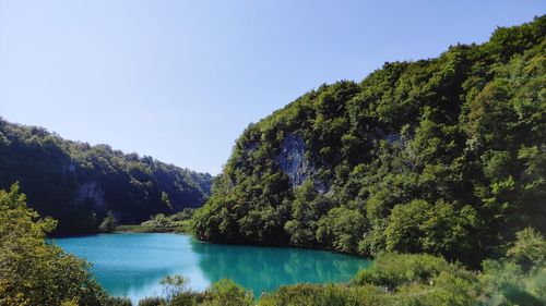 Scenic view of lake in forest against clear sky