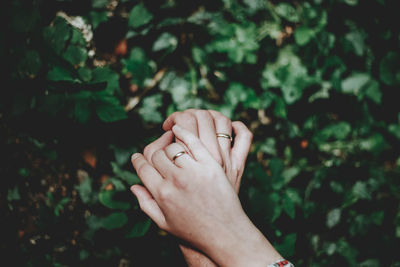 Close-up of human hand on tree