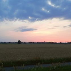 Scenic view of field against sky during sunset