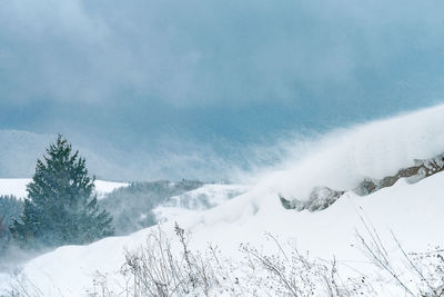 Blizzard in the mountains during snowy winter day