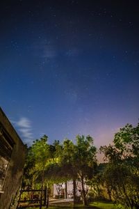 Low angle view of trees against sky at night