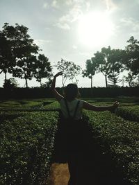 Rear view of woman standing on field against sky