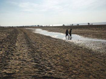 People walking on beach