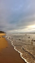 Scenic view of beach against dramatic sky