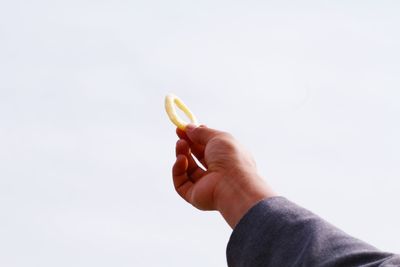 Close-up of hand holding leaf over white background