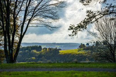 Trees on field against sky