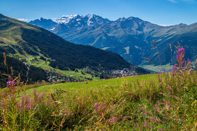 Scenic view of grassy field by mountains against sky