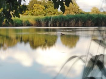 Reflection of trees in lake against sky