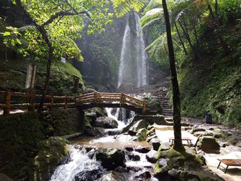 Scenic view of waterfall in forest