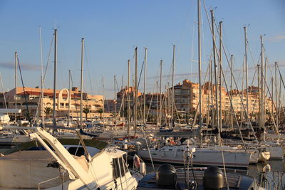 Sailboats moored in harbor