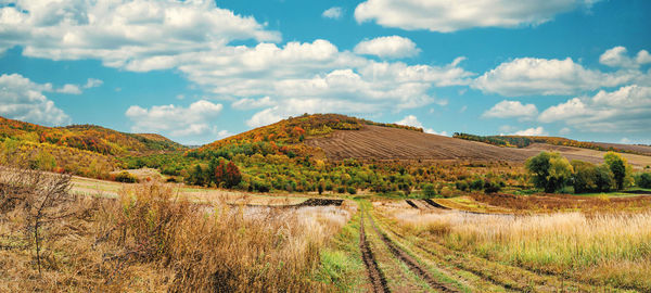 Picturesque photo of early autumn in field. road, plowed land, colorful bushes on hills.