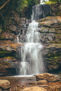 Scenic view of waterfall in forest