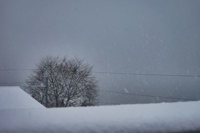 Bare tree on snow field against sky