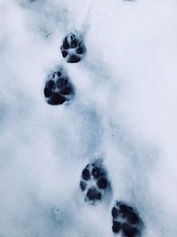 Close-up of snow on ice