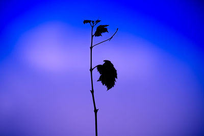 Low angle view of silhouette tree against clear blue sky