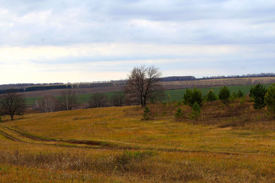 Scenic view of field against sky