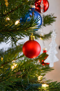 Close-up of christmas tree