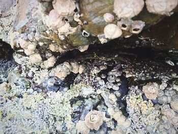 Close-up of objects on the wall