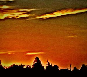 Silhouette of trees against dramatic sky