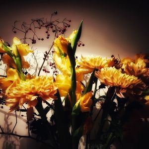 Close-up of yellow flowers