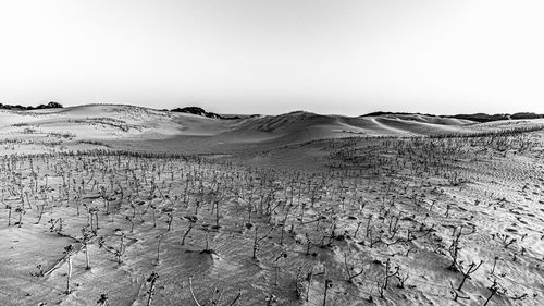 Scenic view of desert against sky