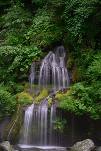 Waterfall in forest