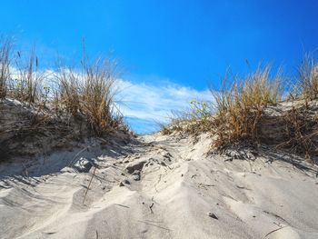 Scenic view of landscape against blue sky