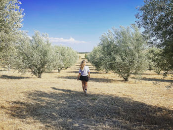 Rear view of girl walking through olive plantation in summer