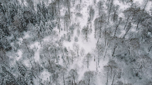 Panoramic shot of snow covered land