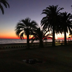 Silhouette palm trees at beach during sunset