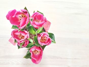 Close-up of pink rose