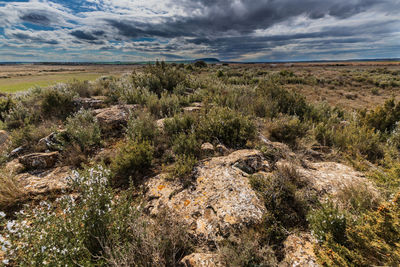 Scenic view of land against sky