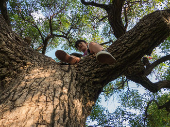 Child climbed a tree