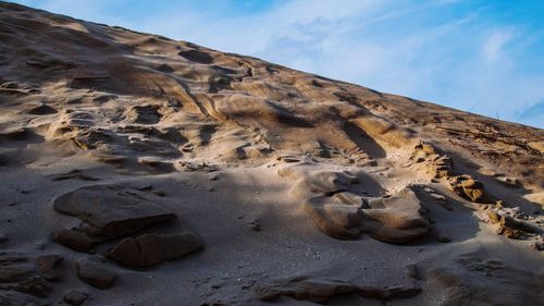 Low angle view of lizard on sand against sky