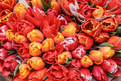 Full frame shot of red roses in market