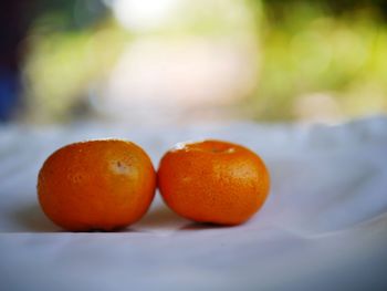 Close-up of orange fruits on table