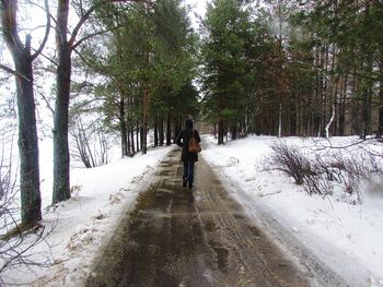 Rear view of man walking on snow covered trees