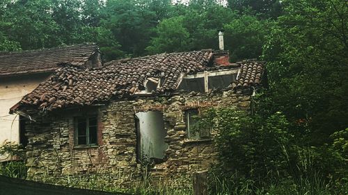 Houses with trees in background