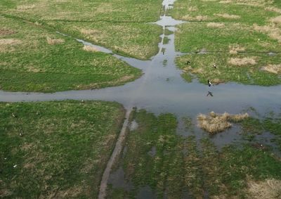 Scenic view of agricultural landscape