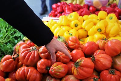 Low angle view of tomatoes for sale at market stall