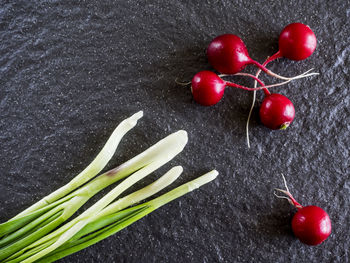 Directly above shot of radishes by scallions on slate