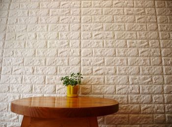 Potted plant on table against wall at home