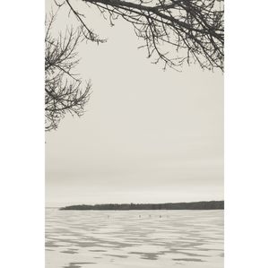 Bare trees against sky