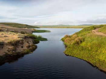 Scenic view of grass against sky
