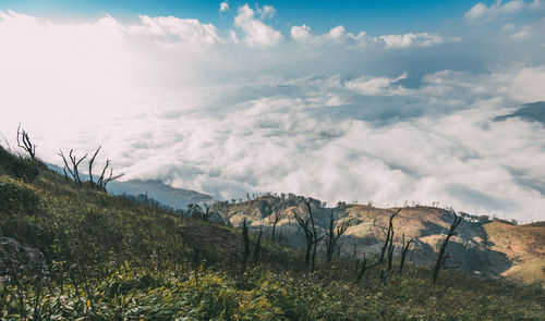 Scenic view of landscape against sky