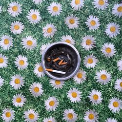 Ashtray on floral pattern tablecloth