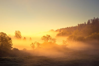 A beautiful river morning with mist and sun light. springtime scenery of river banks in europe. 